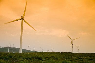 任天堂Switch 2主机屏幕保护膜在阿里巴巴泄露